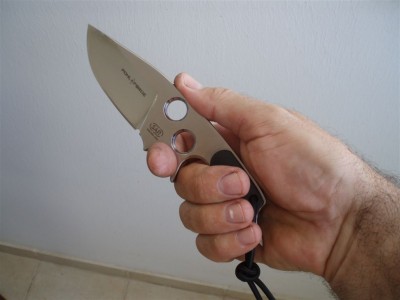hornet 011.jpg