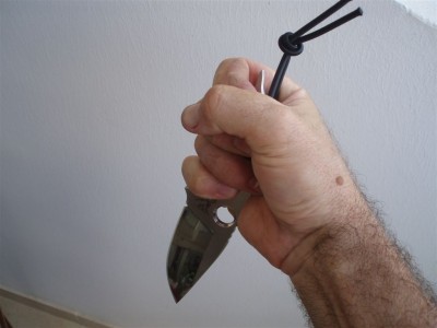 hornet 012.jpg