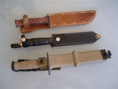 bambr 009.jpg