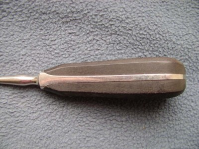 Aescu-1.jpg