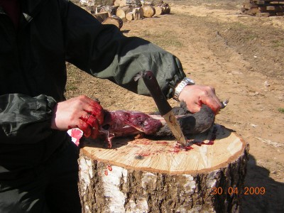 DSCN1184.JPG