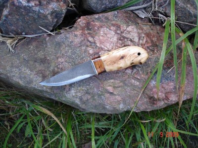 Быстрорезный 001.jpg