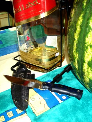 pic6.jpg