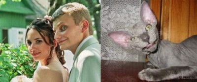 парень и кошка.jpg