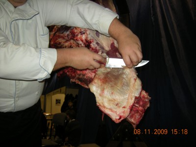 DSCN16 287.jpg