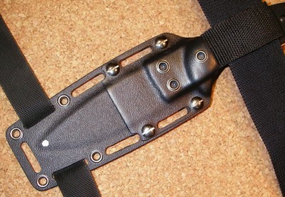 Копия IMGP7994.jpg