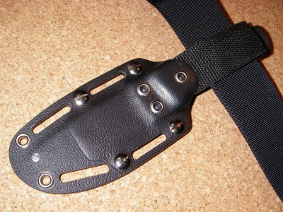 IMGP8012.jpg