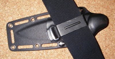 IMGP8004.jpg