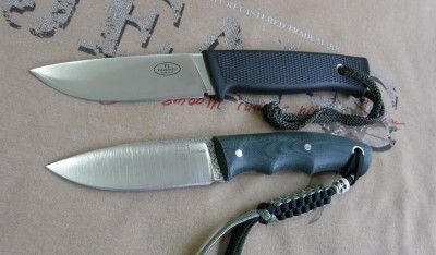 M2 and F1.jpg