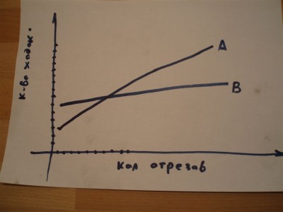 file 177.jpg