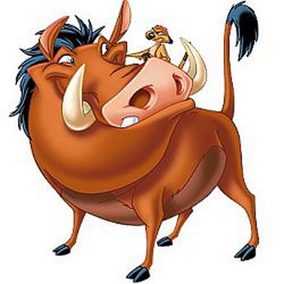 timon1.jpg