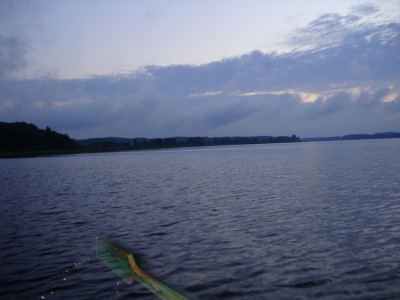 DSC05878.JPG