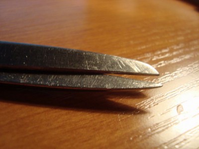 x_f5097651.jpg
