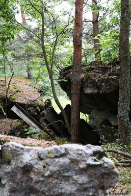 _MG_5705.jpg