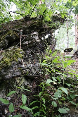 _MG_5710.jpg