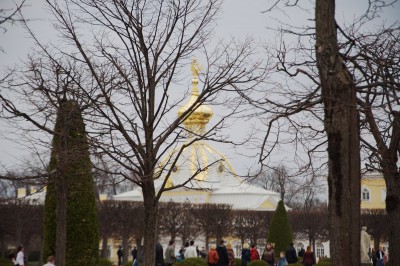 DSC_2369.jpg