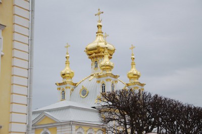 DSC_2385.jpg
