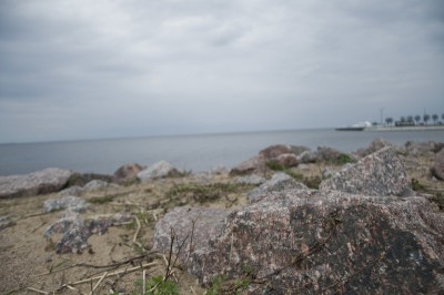 DSC_2411.jpg