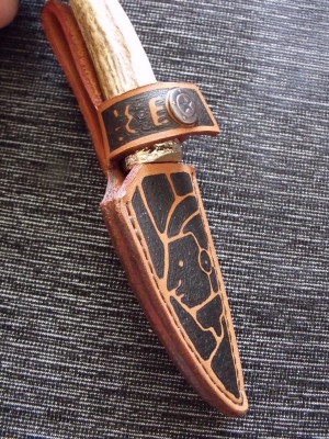 DSCF2595.jpg