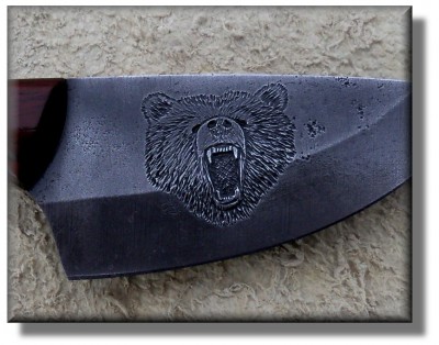 ursus.JPG
