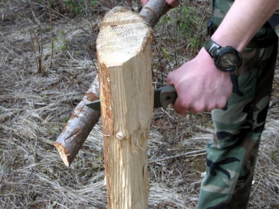 sere-photo1.jpg
