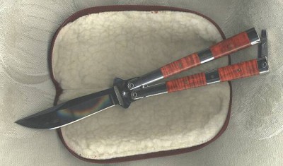 erickson_doubleinsert.jpg