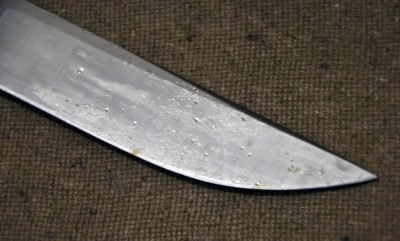 DSC_4556.jpg