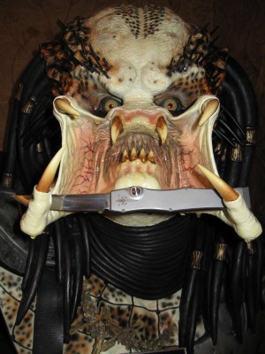 predator.jpg
