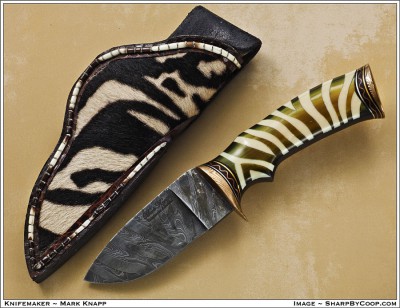 MarkKnapp_zebra.jpg