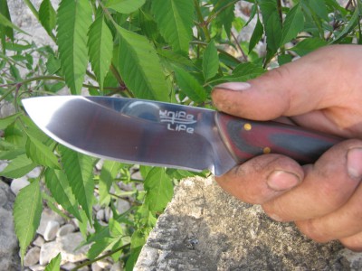 Изображение 008.jpg