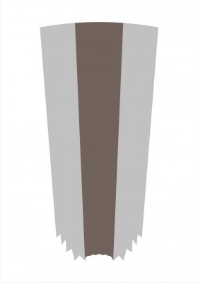 Зуб в разрезе.jpg