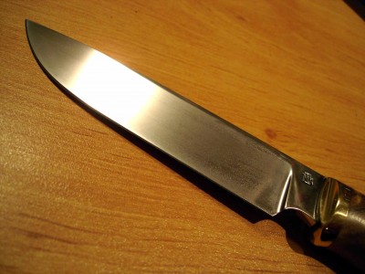 pic5.jpg