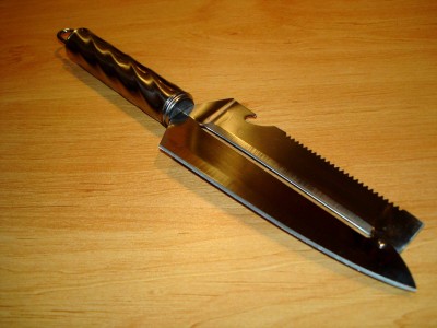 pic2.jpg