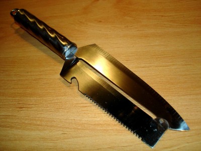 pic3.jpg