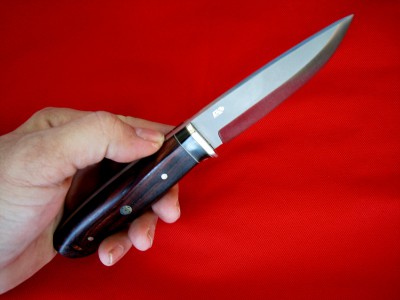 CocoBolo4.JPG