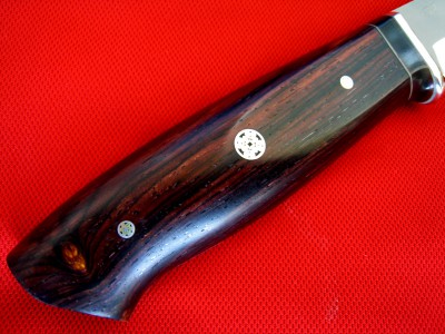 CocoBolo7.JPG