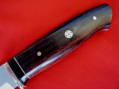 CocoBolo8.JPG