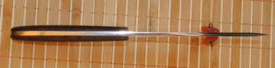 DSC_2381.jpg