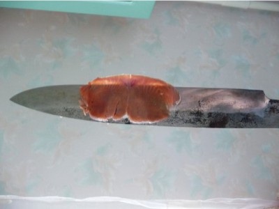knife3.jpg