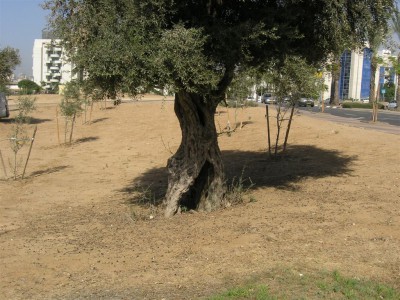 034~1.JPG