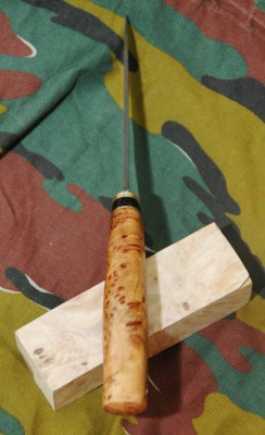 DSC_7204.jpg
