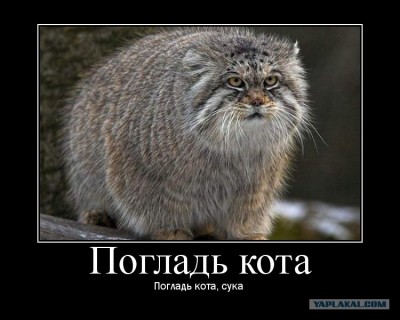 post-3-12236212917116.jpg