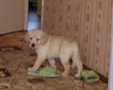 DSC07802.jpg