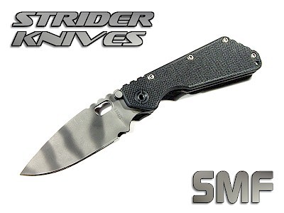 Strider.jpg