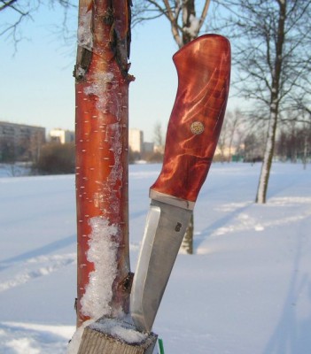 PICT01.JPG
