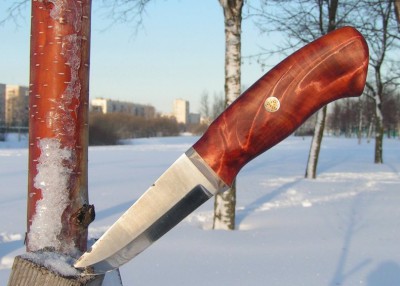 PICT02.JPG
