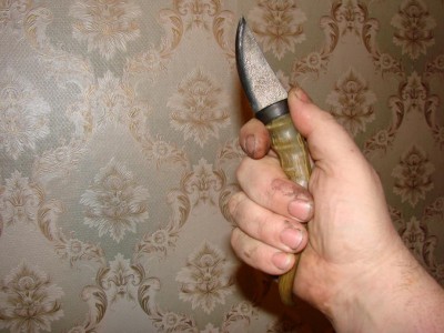 шейник4.jpg