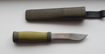 4499828.jpg
