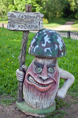 DSC_3393.jpg