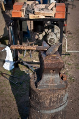 DSC_3354.jpg